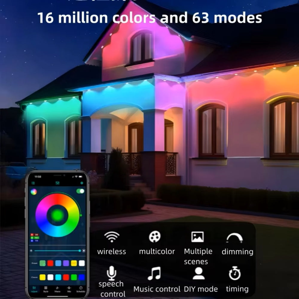 Holiday Lights