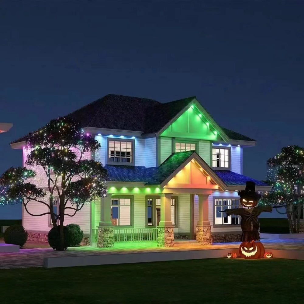 Holiday Lights
